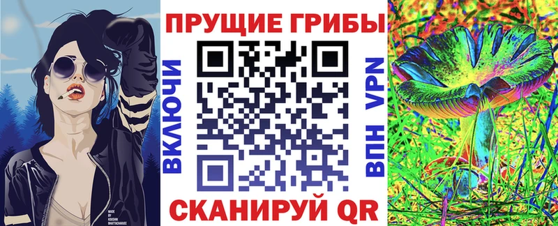 ссылка на мегу маркетплейс  Ессентукская  Псилоцибиновые грибы мицелий 